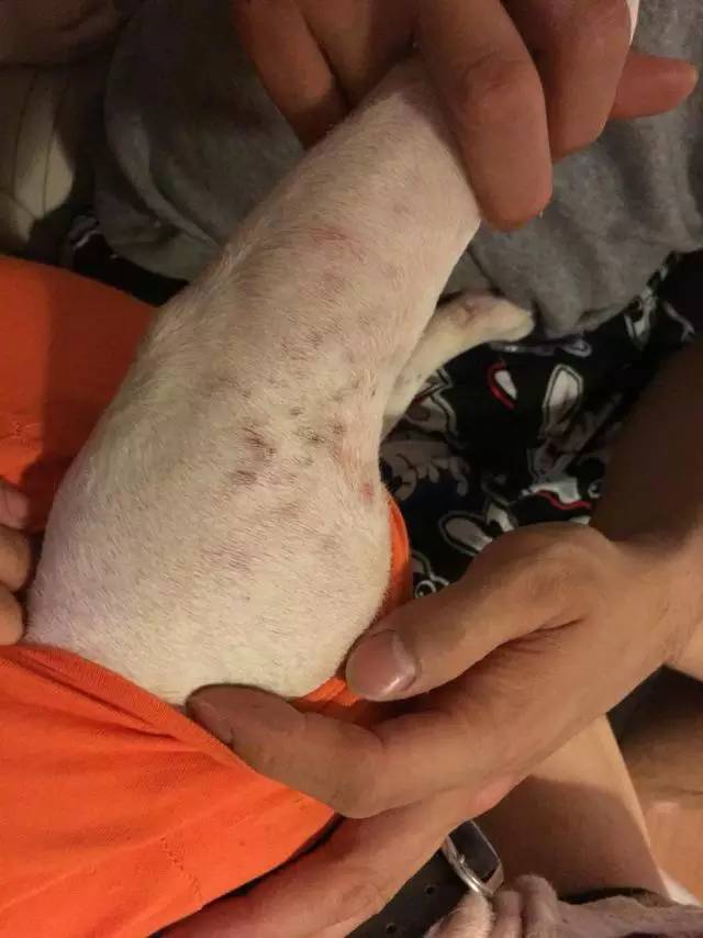 激萌祛痘了怎么恢复,激萌正确使用法