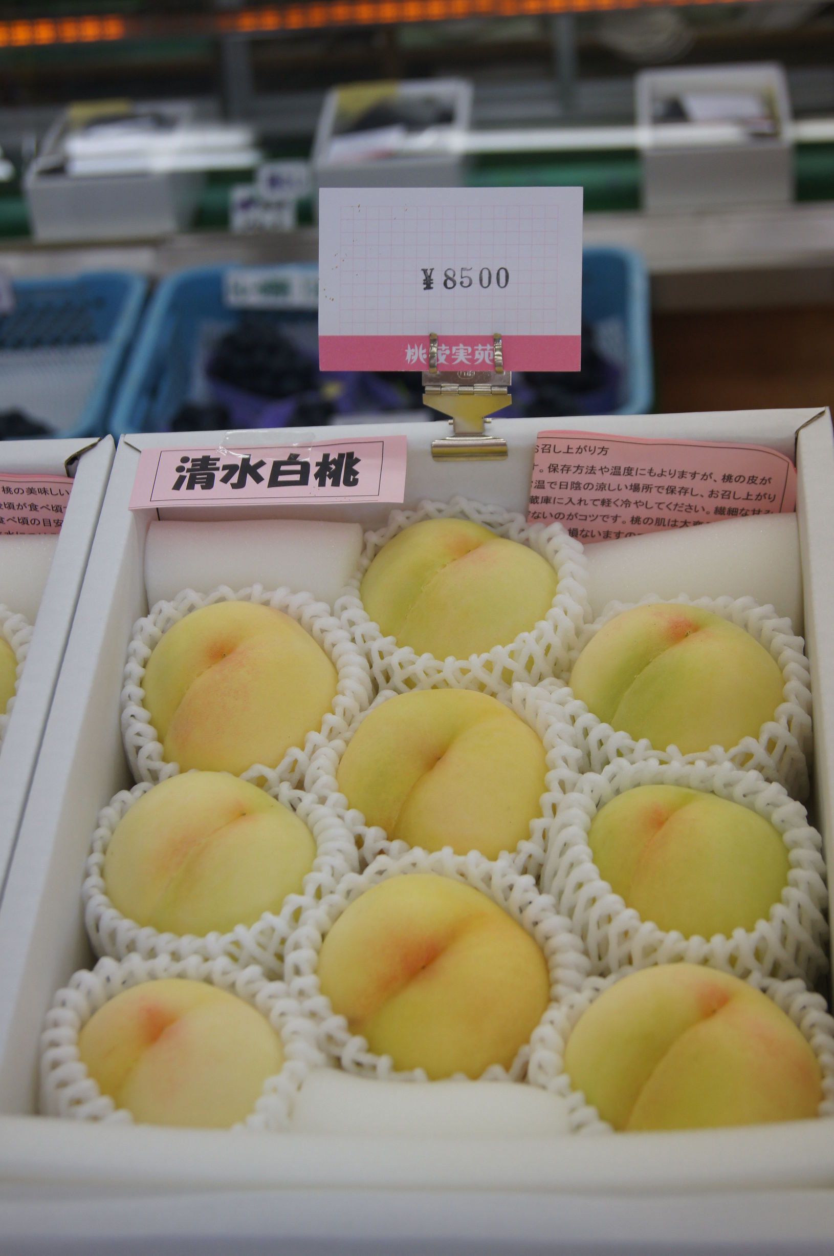 去日本买进口马桶盖,去日本买马桶盖