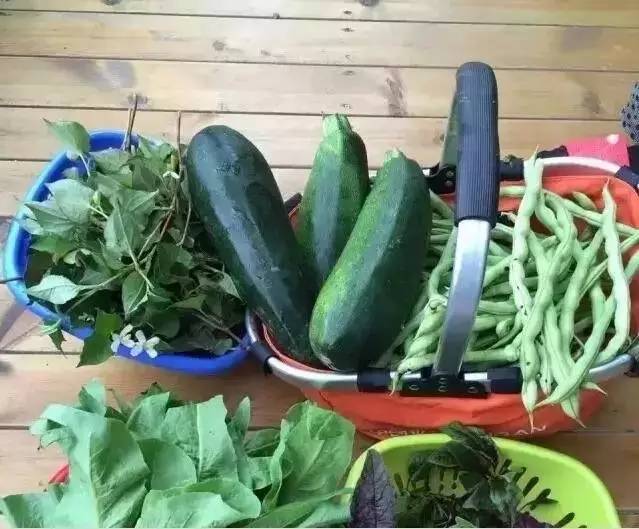 九个理由电影完全版,九个理由