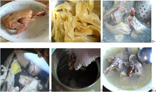 冬虫夏草和金蝉花有什么关系,金蝉花比冬虫夏草早几年入药