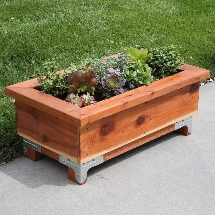 各种花盆搭配什么绿植,合适搭配装饰花盆的小植物