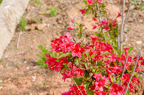 2021海岛旅游攻略,哈仙岛旅游攻略3天2晚