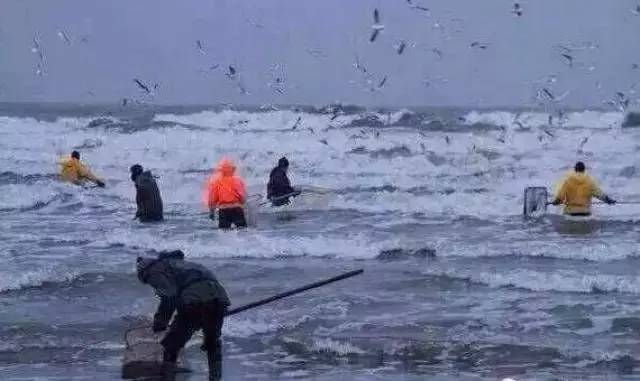 蜜蜡这种东西你真的懂吗,真正的蜜蜡是啥样的