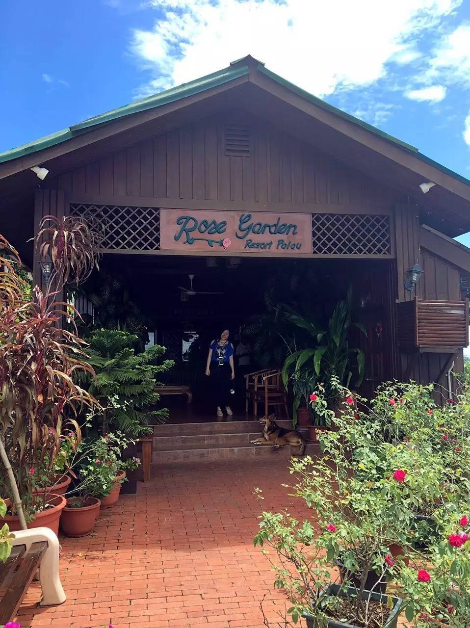 帕劳怎么玩,帕劳要准备什么