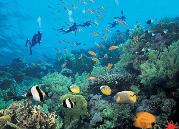 世界上有最美的仙境吗,世界上真的有人间仙境