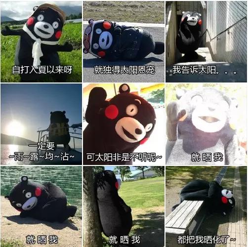 重庆改名字有望吗,重庆有望改名吗