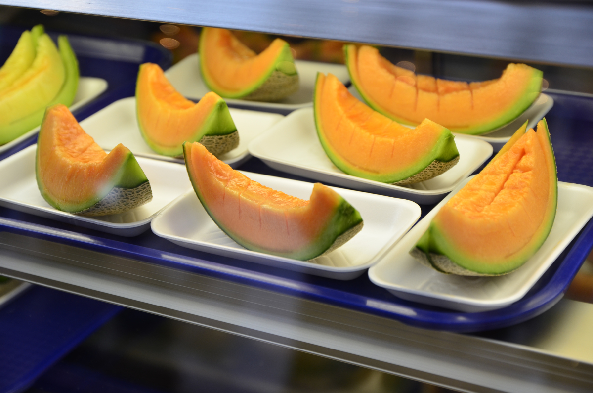 去日本买进口马桶盖,去日本买马桶盖