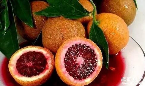 盘点6种奇葩水果,别看这6种奇葩水果长相怪异