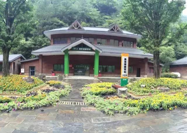 九个理由电影完全版,九个理由