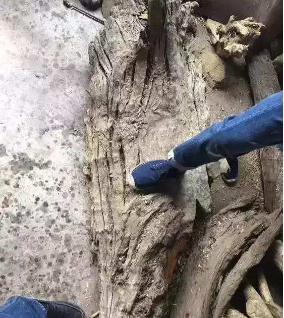 老宅发现100年前乌木,江西小山村挖出价值1亿的乌木
