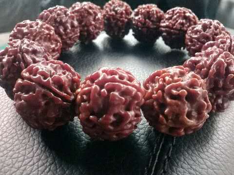 你对星月菩提有了解吗,星月菩提的真实内幕