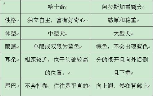 阿拉斯加雪橇犬和哈士奇的区别,阿拉斯加雪橇犬和哈士奇区别