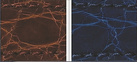 手表鳄鱼皮带男士真皮,棕色鳄鱼皮带手表
