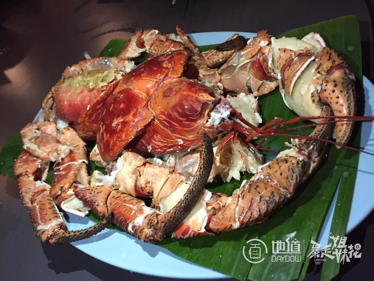 帕劳怎么玩,帕劳要准备什么