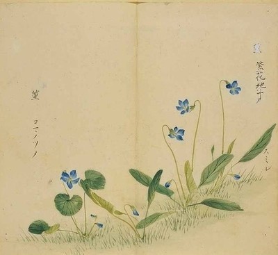 诗经中的古典婉约的女子,诗经中的绝美名字外柔内刚