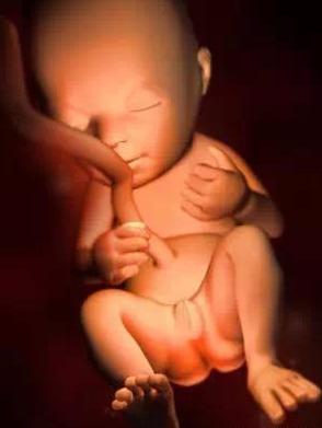 宝宝从1周到40周出生发育过程,怀孕第一周至40周胎儿发育情况