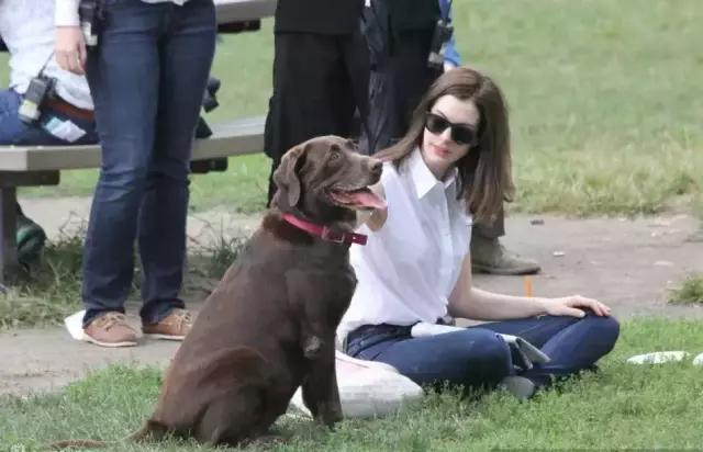 宠物能够治疗主人的疾病你知道么？