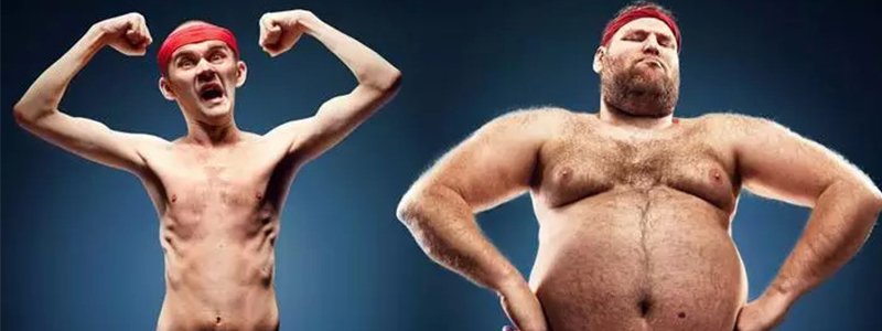 关于手游的最新政策,手游新规什么时候开始