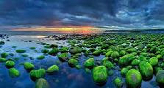 冰岛能够说是一个敢吃的国家,冰岛究竟是一个什么样的国家