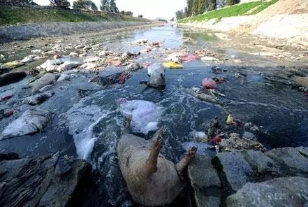 小米600g净水器安装,免费安装净水器是真的吗