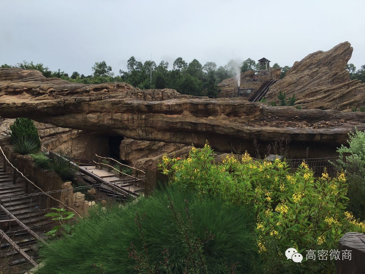 亲身体验｜香港自由行怎么吃喝玩乐游购娱？