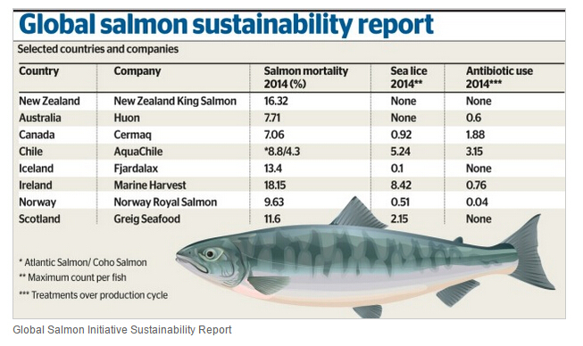 挪威三文鱼和挪威三文鱼,挪威三文鱼是不是有问题