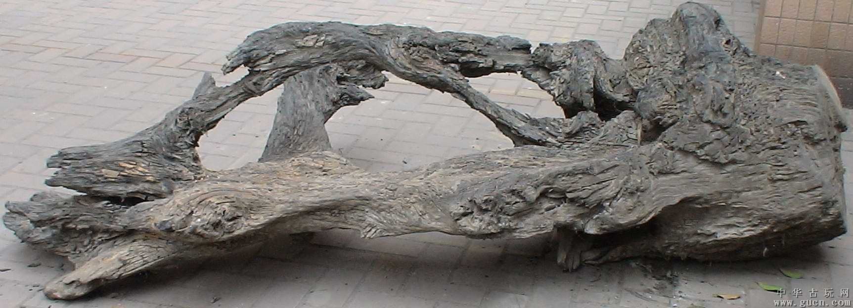 东方神木乌木金丝楠阴沉木,巨大乌木是阴沉木