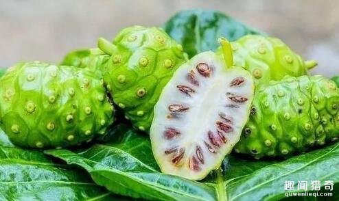 盘点6种奇葩水果,别看这6种奇葩水果长相怪异