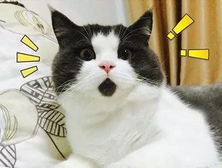 日本的免税店有哪些,带你们看看日本商场长啥样