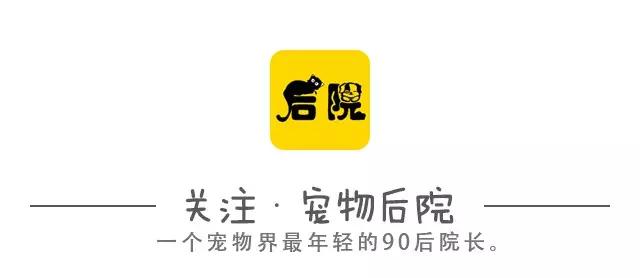天气热了狗狗不爱吃饭,狗狗不爱吃饭用什么药
