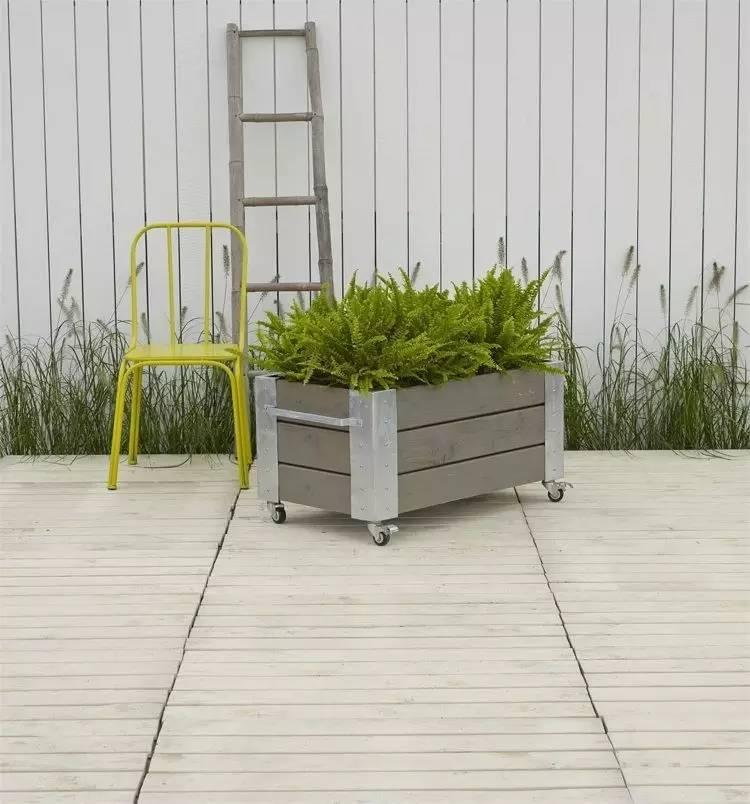 各种花盆搭配什么绿植,合适搭配装饰花盆的小植物