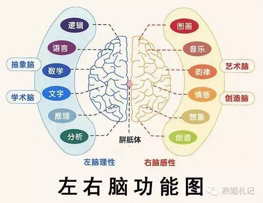 怎样开发幼儿右脑的潜能,开发小孩智力的方法