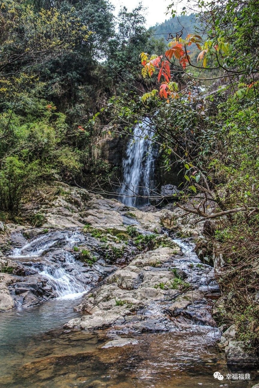 秘境杨梅,安吉杨梅溪