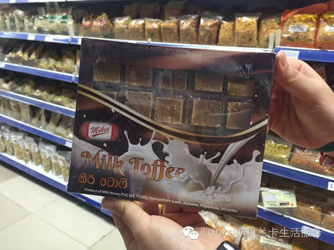 兰卡生活在哪里,兰卡生活日记全集