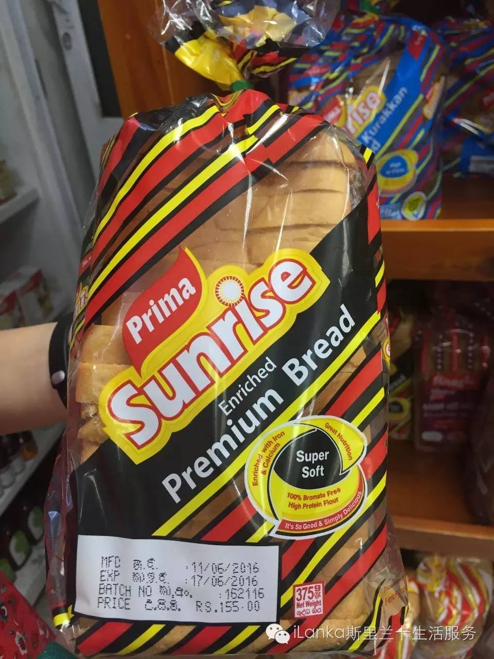 兰卡生活在哪里,兰卡生活日记全集