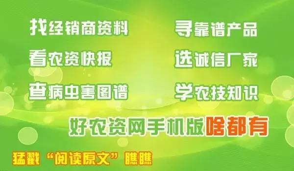 农资人的辛酸泪,农资人应该如何破局