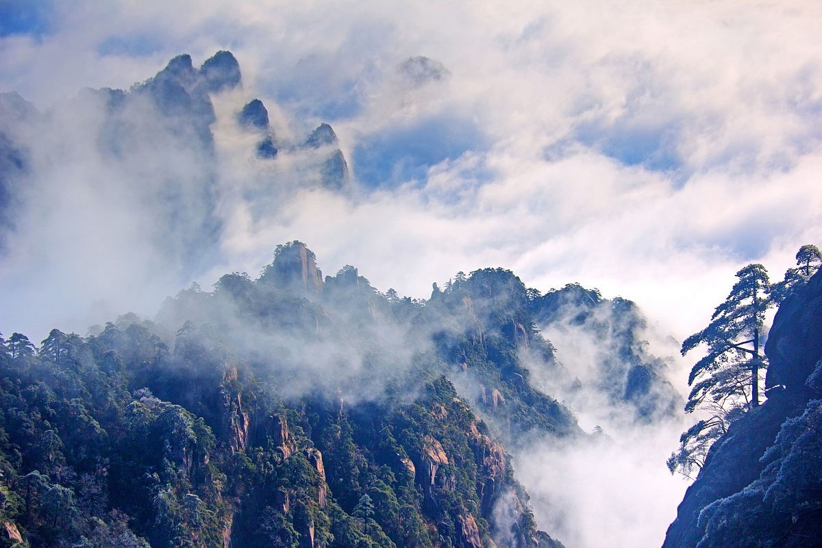 梅雨季应对攻略,拯救梅雨季