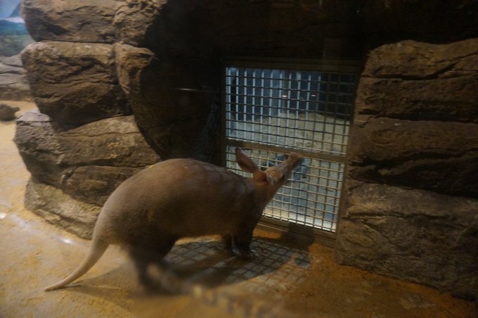 一个人的旅行东京,一个人的名古屋