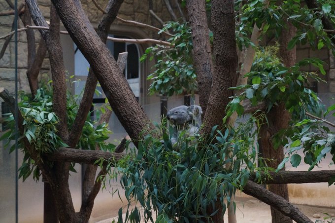 一个人的旅行东京,一个人的名古屋