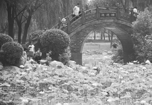 孩子暑期外出避暑,孩子放假带着回来玩