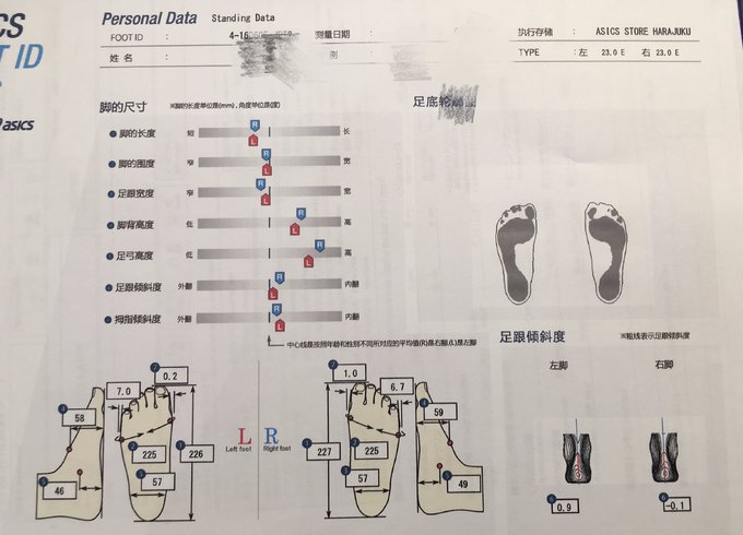 东京镰仓箱根路线安排,东京镰仓箱根