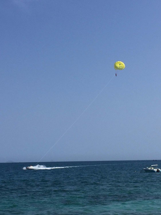 芽庄旅游落地签证注意事项,芽庄旅游签证办理流程及费用
