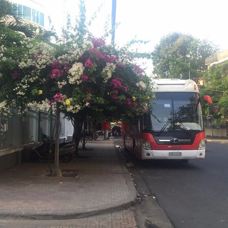芽庄旅游落地签证注意事项,芽庄旅游签证办理流程及费用