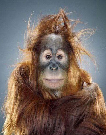 现在都还不知道？身边生物的寿命（饲养编）