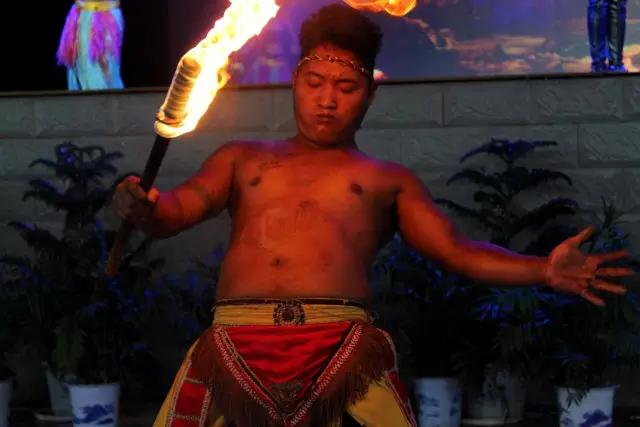 太原投资2000万风情文化节！引来50万只萤火虫！20万只蝴