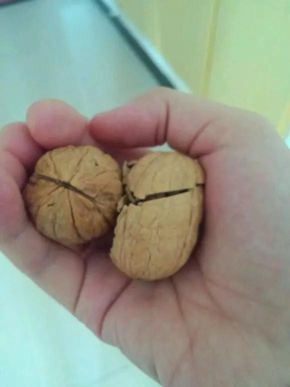 吃核桃用的钳子,吃核桃吃生的还是吃熟的