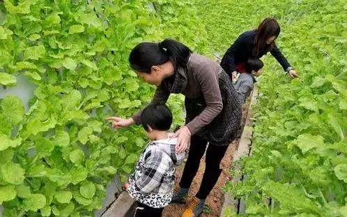 海口休闲度假的10个好去处你一定要知道