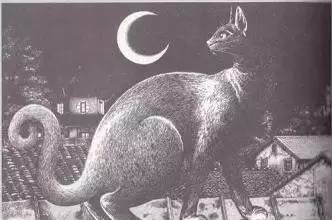 杰尼龟的收服方法,杰尼龟捕捉动画