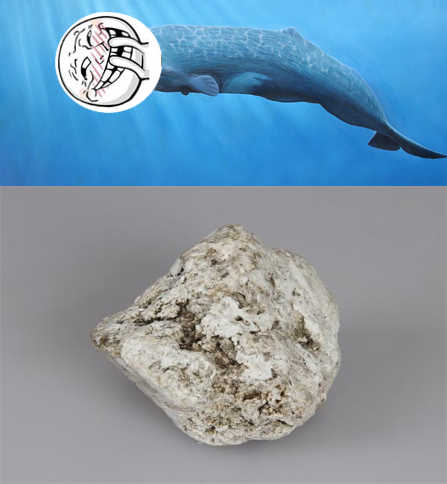 这些垃圾食品你吃过吗,这些臭臭的美食你吃过没