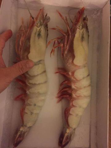 一斤25只的基围虾大不大呀,1斤基围虾能够出多少虾肉